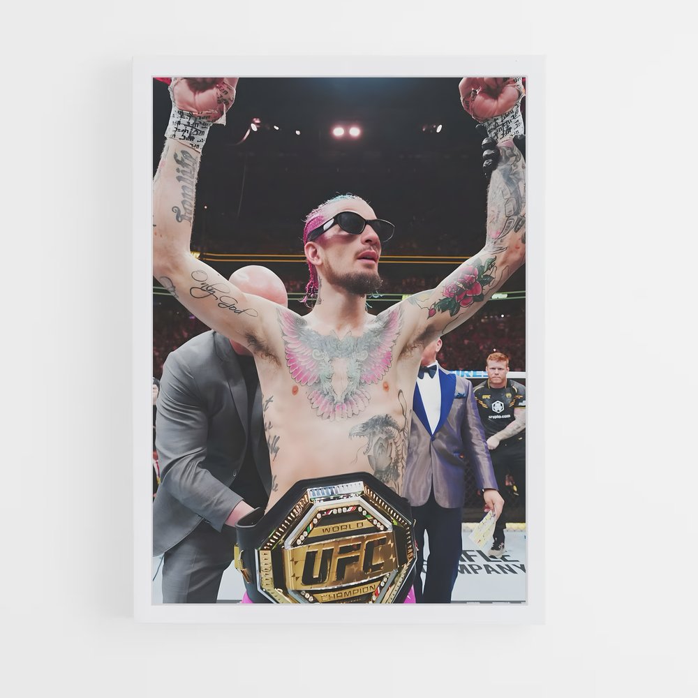 Poster Pink Ink – affiche MMA (vue 3)